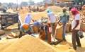 Centre procures 521.5 lakh tonnes of paddy so far at Minimum Support Price