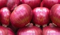 Onion varieties for different seasons