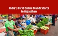 Country's First Online Mandi Starts in Rajasthan; Direct Selling from Field to Customer’s Door