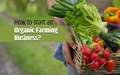 Want to start an Organic Farming Business; Here’s All You need to Know