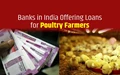 Top Banks Offering Loans for Poultry Farming, Checkout All Details Here