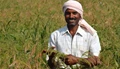 Best Government Schemes and Programmes in Agriculture for Farmers