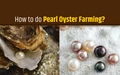 Pearl Oyster Farming Process; Site Selection, Pearl Farming Types, Management and Economics