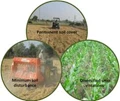 Conservation Agriculture for Enhancing Resource use Efficiency and Farm Productivity