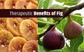 7 Benefits of Anjeer: From weight loss to improving heart health