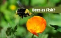 Preventing Bee Species from Being as Considered Fish (Under CESA)