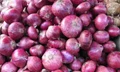 Karnataka Government to encourage Rose Onion exports