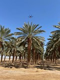 Israeli Pollinator Drones : Know about the Best Drones for Pollination