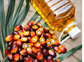 Falling Export Demand Continues Hammering Malaysian Palm Oil Markets