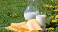 Export Opportunities for Milk Products are Brightening