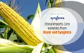 China Imports Two Genetically Modified (GM) Corn Varieties from Bayer AG and Syngenta AG