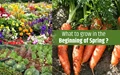 Best Fruits, Flowers & Vegetables to Grow in the Month of February