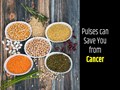 How Pulses Help to Prevent and Suppress Cancer