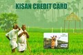 Kisan Credit Card Latest Updates: Government to Provide KCC to More Livestock, Dairy Farmers; Read Details