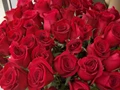 Celebrate Valentine with These Newly Released IARI Roses