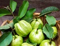 10 Surprising Benefits of Guava Leaves for Skin, Hair and Overall Health