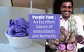 Purple Yam: The Show Stopper of Tuber Mela; an Excellent Source of Antioxidants and Nutrients