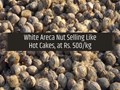 White Areca nut Price Reaches Rs. 500 per kg; Know More about This Costly Nut