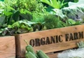 FSSAI Norms for Organic Farming