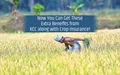 Kisan Credit Card: Now You Can Get These Extra Benefits from KCC along with Crop Insurance