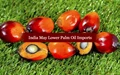 India’s Palm Oil Imports May Fall in February