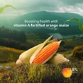 UPL launches ‘Biofortified Vitamin A Orange Maize’