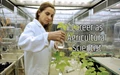 How to Become an Agricultural Scientist – A Complete Guide