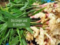 The Spice with Wonders: Dry Ginger and its Amazing Health Benefits