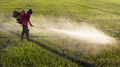 What are Highly Hazardous Pesticides or HHPs?