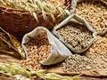 Food Grain Production in India Set to Touch A Record High in 2020-21