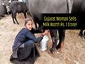 Gujarat Woman Becomes No. 1 Dairy Farmer, Sells Milk Worth Rs. 1 Crore