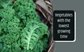 7 Vegetables That Grow Quickly