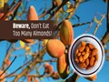 7 Side Effects of Eating Too Many Almonds