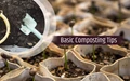 Compost Management and Its Advantages