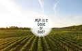 MSP: Why is It Necessary for Farmers and Common People?