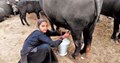 Women’s Day 2021: Top Indian Women Entrepreneurs in Dairy & Livestock Farming