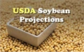 USDA Raises Brazil’s Soybean Crop Estimate, Global Supply Situation still Appears Tight for This Year