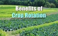 What is Crop Rotation and Why it is Important?