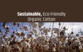 Why is Organic Cotton Trendier These Days?