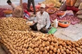 Big Trouble for Farmers; Soon Potato Cold Storages Could Run Out of Space