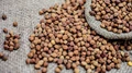 Global Chickpeas End Mixed, Upside Momentum Eases in Domestic Markets