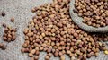 Global Chickpeas End Mixed, Upside Momentum Eases in Domestic Markets