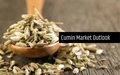 Cumin Seed (Jeera) Markets Likely to Generate Better Profits for Indian Farmers