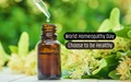 World Homeopathy Day: Know About the Unknown Benefits of Homeopathy