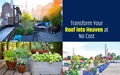 How to Do Rooftop gardening? A Short Guide