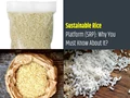What is Sustainable Rice Platform (SRP)? Why You Must Know About It?
