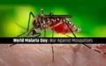 World Malaria Day: Tips to prevent from Malaria