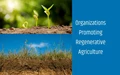 Top 5 Organizations upgrading the Globe through Regenerative Agriculture