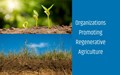 Top 5 Organizations upgrading the Globe through Regenerative Agriculture