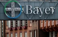 GM Cotton Seed Dispute between Bayer’s Monsanto & India’s NSL Settled